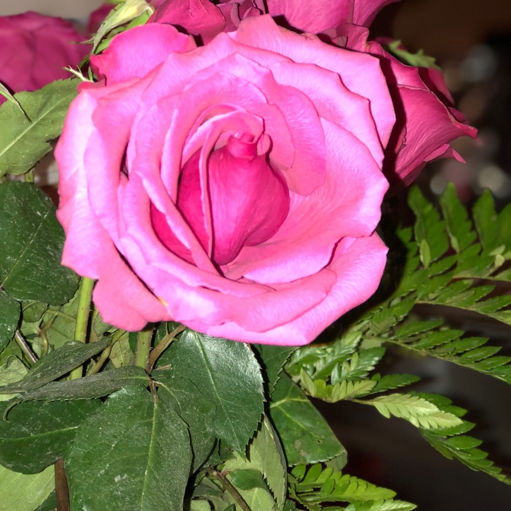 Meet your Posher, Michelle